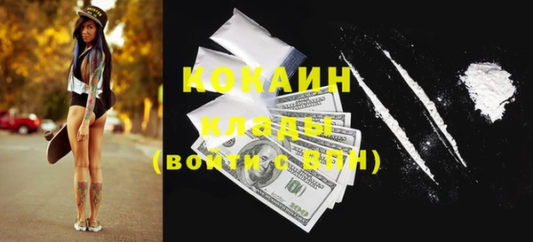 хмурый Аркадак