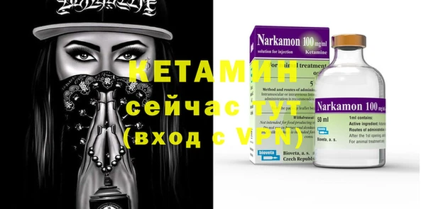 хмурый Аркадак