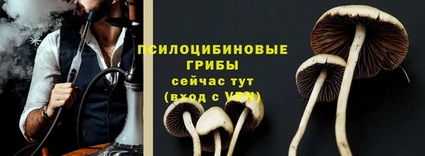 тгк Балахна
