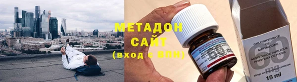 хмурый Аркадак