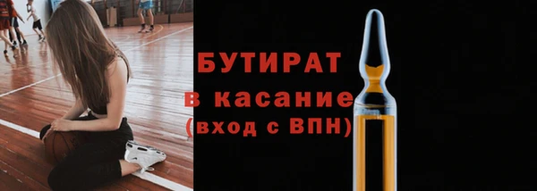 хмурый Аркадак