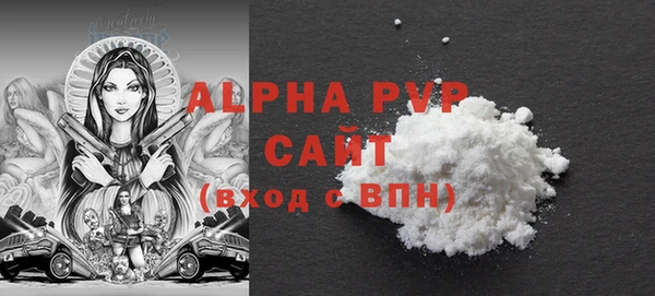 хмурый Аркадак