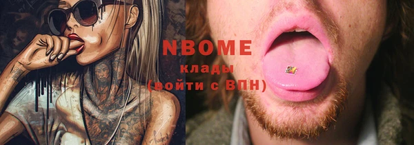 хмурый Аркадак