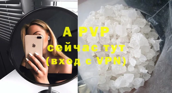 хмурый Аркадак