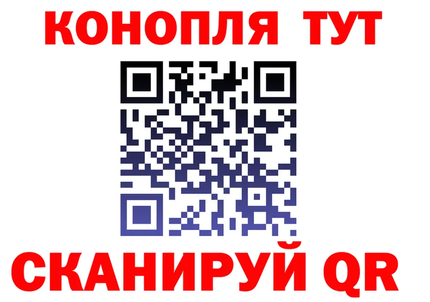 ГАШ Изолятор ТОР даркнет гидра Киселёвск