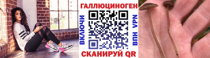 Галлюциногенные грибы MAGIC MUSHROOMS  Киселёвск 